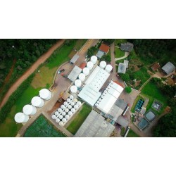 Zanlorenzi Bebidas é indicada ao Prêmio Reclame Aqui em duas categorias